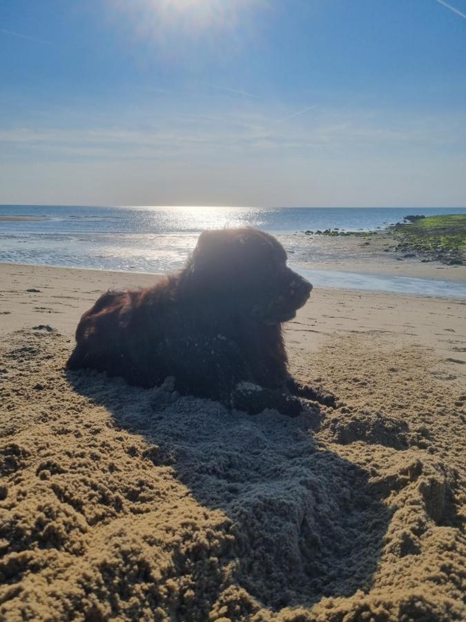 Meerblick Wattenmeer ,50M Vom Meer,Strand 300M Westerland Esterno foto